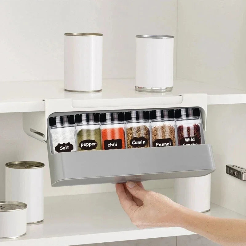 Slide Away Spice Organizer