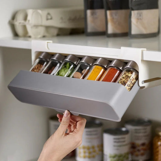 Slide Away Spice Organizer